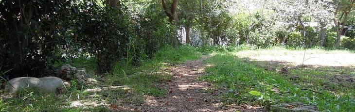 歡迎來到 台灣內觀中心 歡迎來到 台灣內觀中心