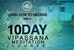 10-Day Course Overview